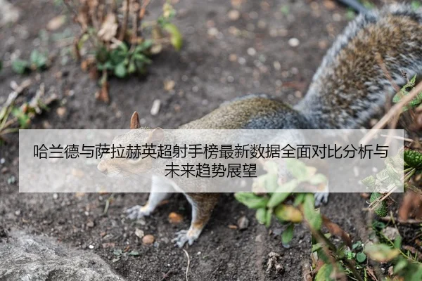 哈兰德与萨拉赫英超射手榜最新数据全面对比分析与未来趋势展望 - KAIYUN